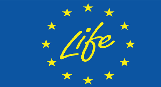 Apply for the grant scheme LIFE that supports climate and environment actions.